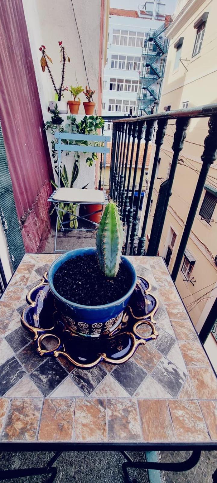Charming Central Apartment To Rent Lissabon Exterior foto